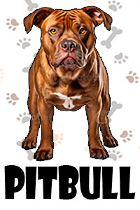 Pitbull.jpg