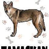Tamaskan