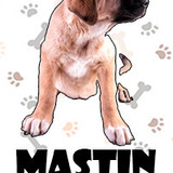 Mastin Español