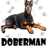 Doberman Bauceron
