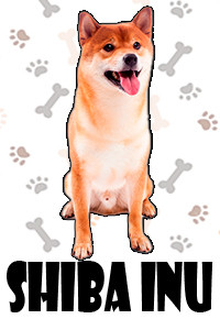 SHIBA INU.jpg