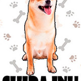 SHIBA INU