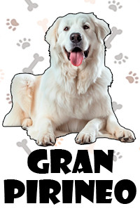 Gran Pirineo.jpg