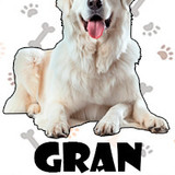 Gran Pirineo