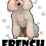 French Poodle