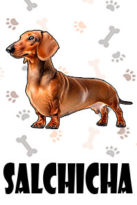 Salchicha.jpg