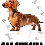 Salchicha