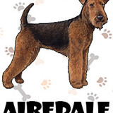 Airedale Terrier