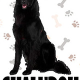 Chalupoh