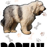 Bobtail