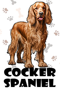 Cocker Spaniel.jpg