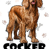 Cocker Spaniel