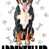 Appenzeller