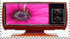 IMG 1754.gif