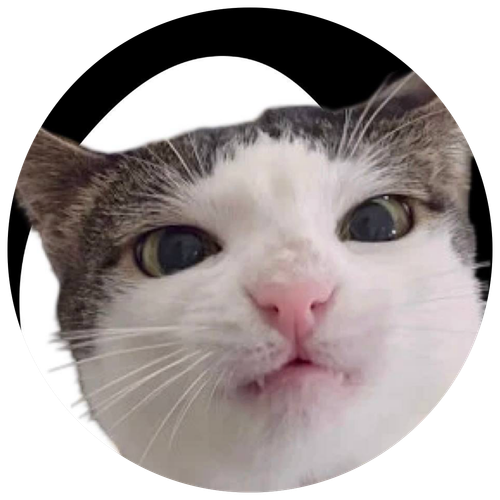 IMG 3803.png