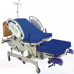 Multi functional Parturition Bed.png