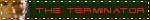 IMG 1777.gif