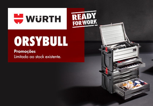 w31 ORSYBULL lp 580x400.jpg