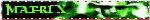 IMG 1776.gif