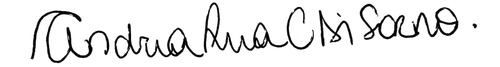 vector.png