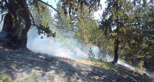 453409708 965040295666744 8332484952329912021 n.jpg?stp=dst jpg s851x315& nc cat=103&ccb=1 7& nc sid.jpg