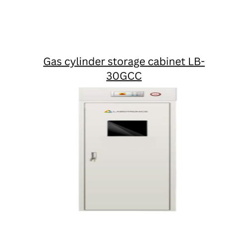 Gas cylinder storage cabinet LB 30GCC.jpg