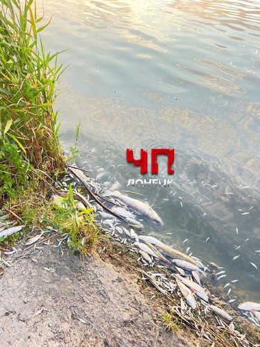 IQNnd8Z605JckJUDlN 0nCuueIZTUUOahEty31ucYZsx1fF2foDxi6IL9QXLb69og 2clqUZb3L Lu7zCb0fRM8QzyFqgWVPpA9G.jpg