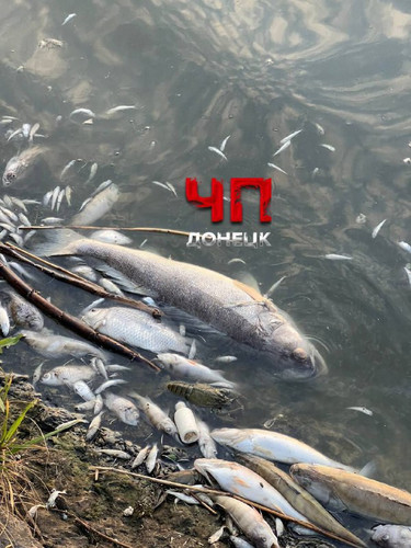 O6Op6 43q5Rt9I5GpNDhV5QsZK5aQo GGBhFz4Phe6Y0QW87R MztNwmeoazZ5eCk0haKu5n1aRqs0miK hL rJJeXZ8JAh4rFvF.jpg