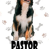 Pastor Australiano