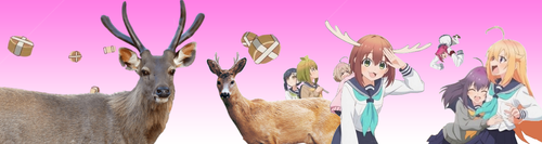 Shikanoko DevaluadoAnimes.png