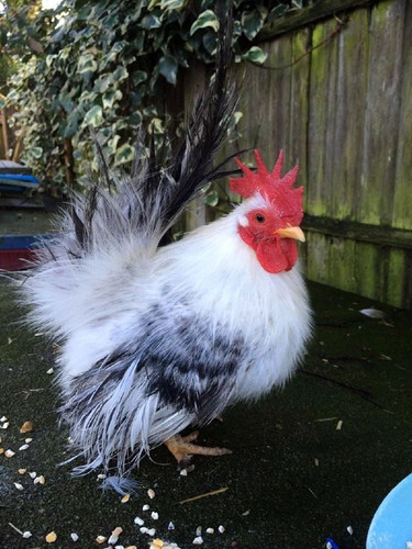 e b2Rrd6xXoOlKRvk8Gb8ggjjhs zJNcXpXAv 0Wtx jvhvOwiFf94M3t5gzQy6opybUyiWdJIsuVurMf5CTL9Ad DEm Gb9lpkD.jpg