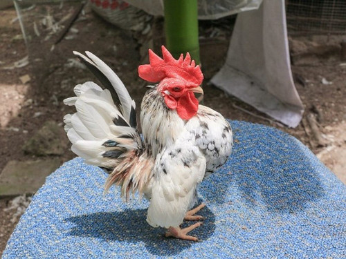 jH3SWJkCnUS9X4oem80Oin9jF DRzjfd4v re5RIUcPF1RPj70m5f 1uwxUDy0kwwZOlEr1AZ 1B8CokZZENWV8C4mElNnvHDc5t.jpg