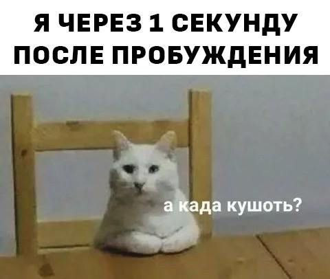 psTM9IlP3CCAv0ECQTNL M7K7izlO8GGuNmViVKgDKZvlsA3ahj0QC9FQz0QohZwoIpc4tki8NLkNN7OyA7d07P3xwsAKQj9e2uU.jpg