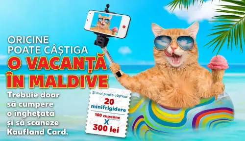 concurs kaufland.webp
