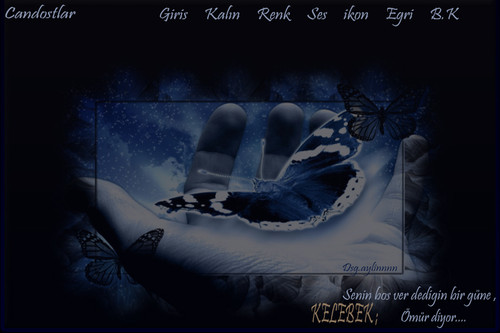 senin boş ver dedigin kelebek.jpg
