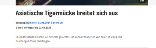 tigerücke.png