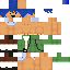 Cameraio.png