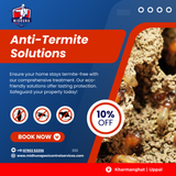 Need anti-termite treatment?