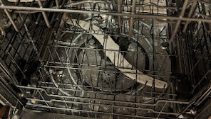 101.jpg
