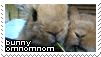 IMG 1585.gif