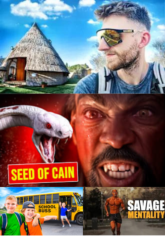 23.png