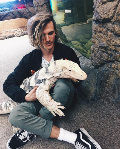 Blog Animals 01.jpg