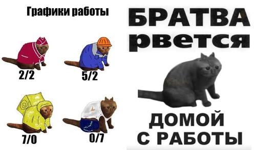 ttdZuhXDbQYef1BbG76 QEtqlHppdH5Lj2rXtBmkreXm2cGUy3a7WVd6h33zlcMFLLzqazzf6D eEF3XRBsYJ3oH3YINfEyA1BTt.jpg