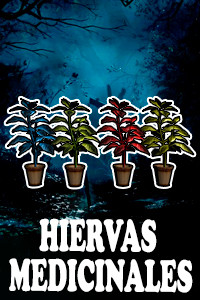Hiervas Medicinales.jpg