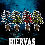 Hiervas Medicinales