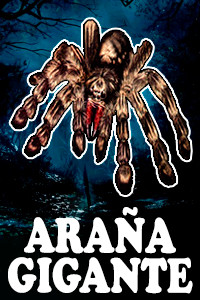 Araña Gigante.jpg