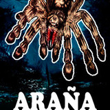 Araña Gigante