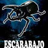 Escarabajo Rinoceronte