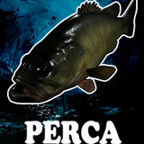 Perca Gigante