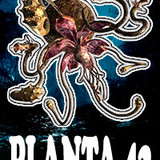 Planta 42